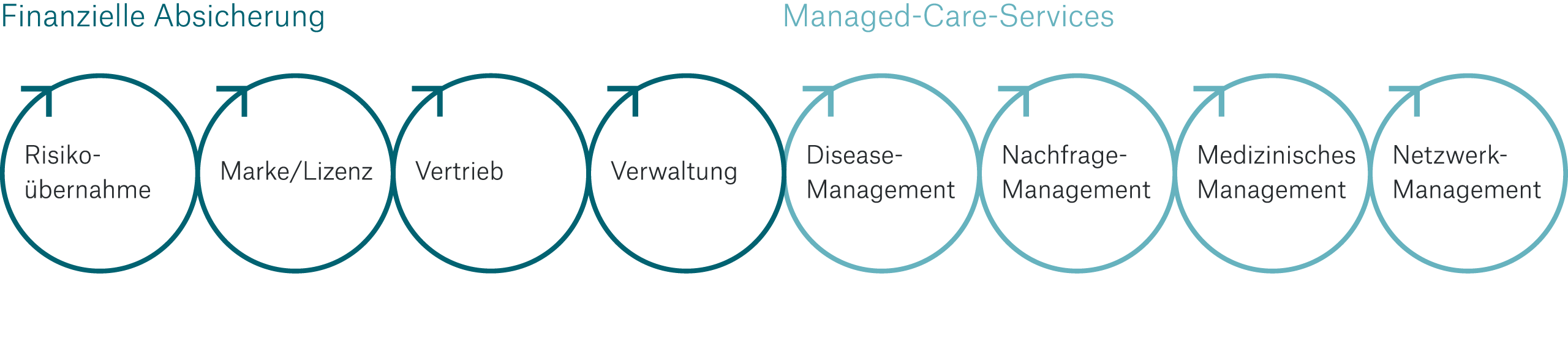 Grafik zeigt die Wertschöpfungskette im Gesundheitsmarkt. 1. Finanzielle Absicherung mit Risikoübernahme, Marke und Lizenz, Vertrieb, Verwaltung. 2. Managed-Care-Services mit Disease-Management, Nachfrage-, Medizinisches und Netzwerk-Management