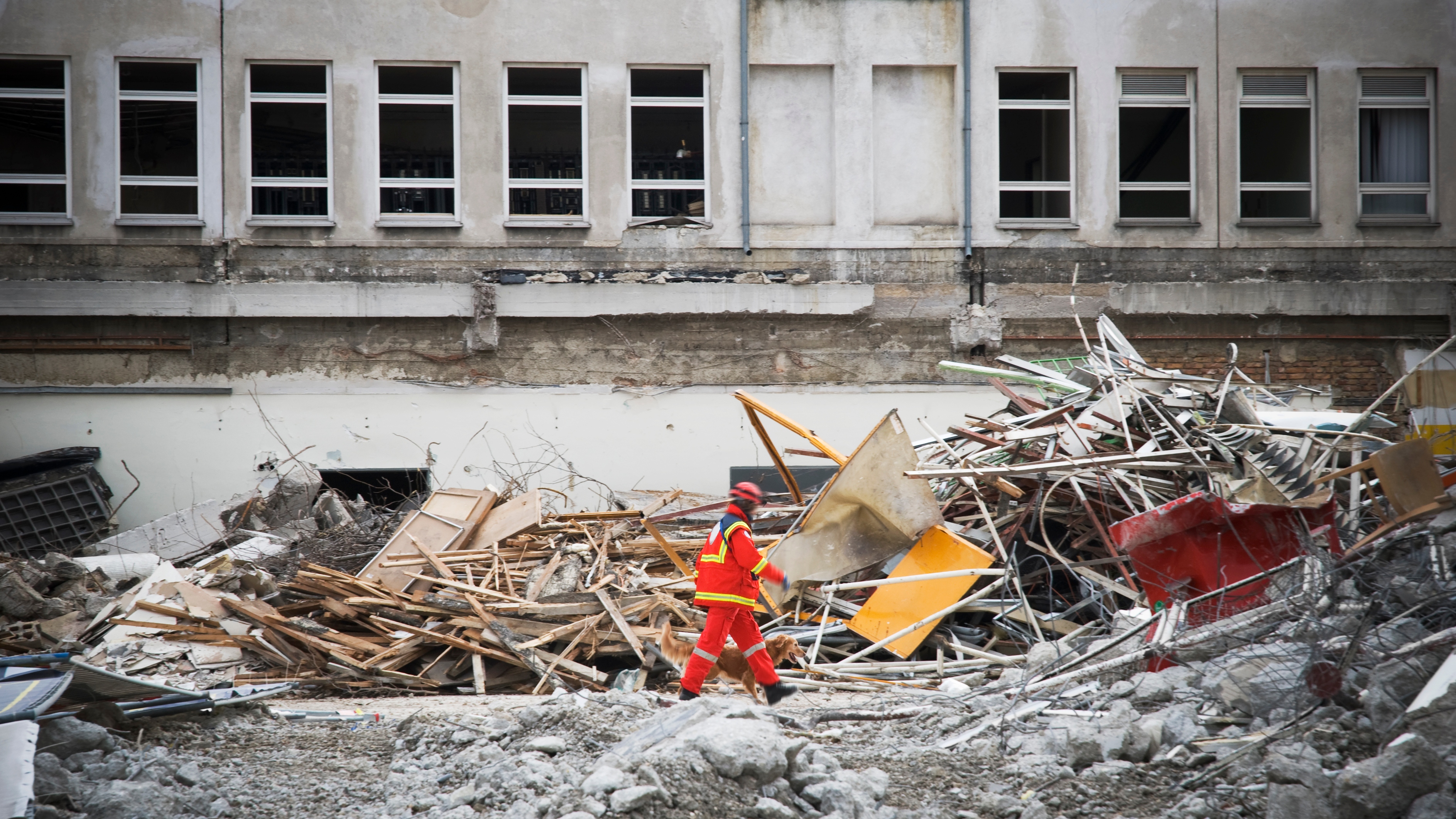 rescue man with dog searching for humans in a destroyed building