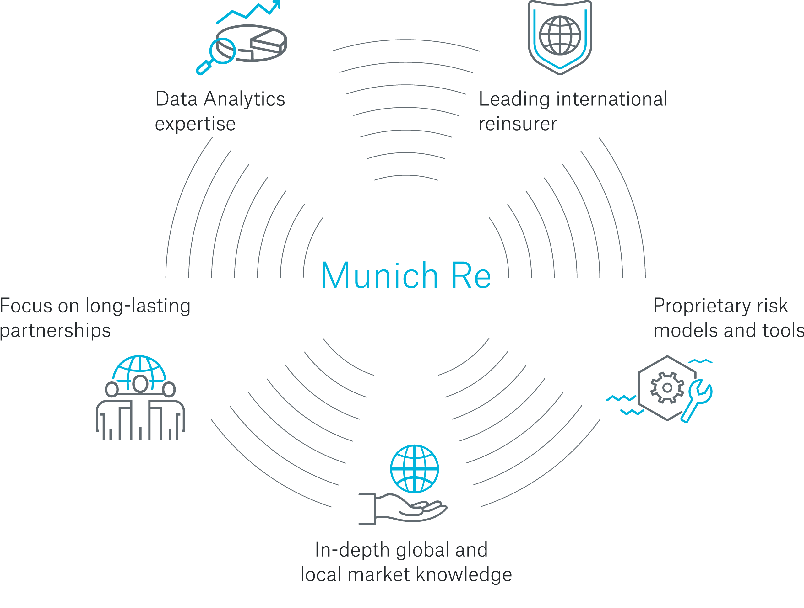 Profit from Munich Re's data analytics expertise