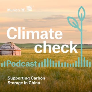 Supporting Carbon Storage in China