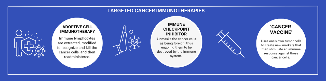 Infographic describing targeted cancer immunotherapies
