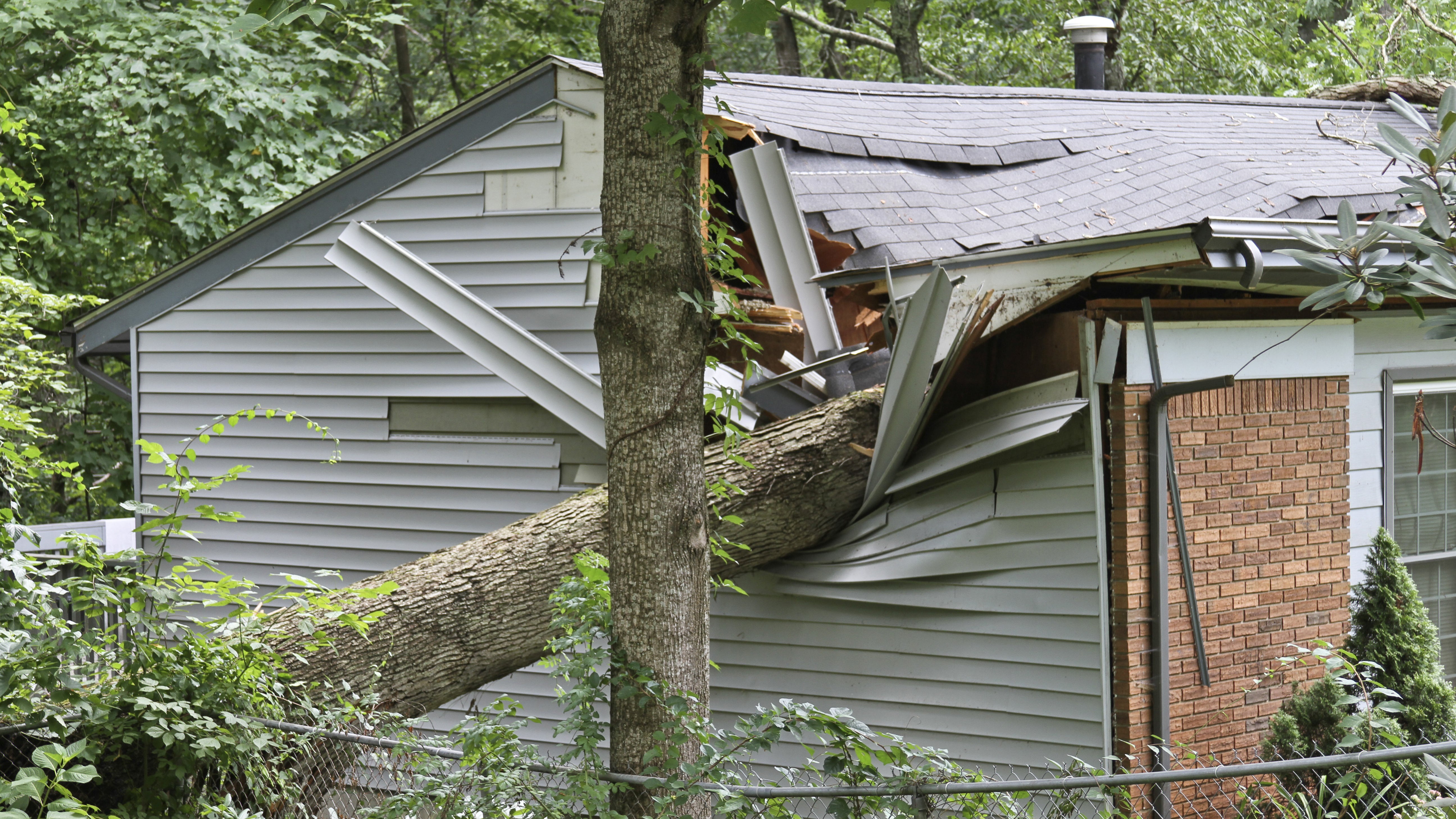 image of a fallen tree on the roof of a house.