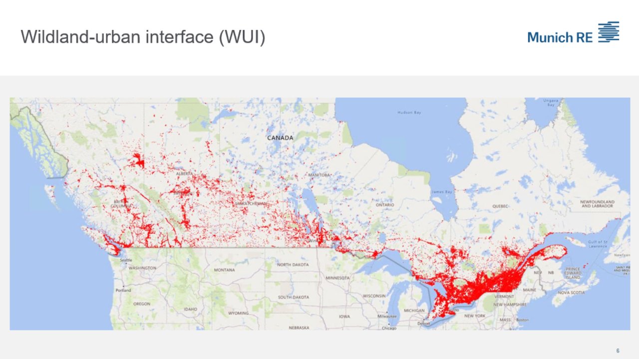 Wildfire Portfolio Analysis slide 4