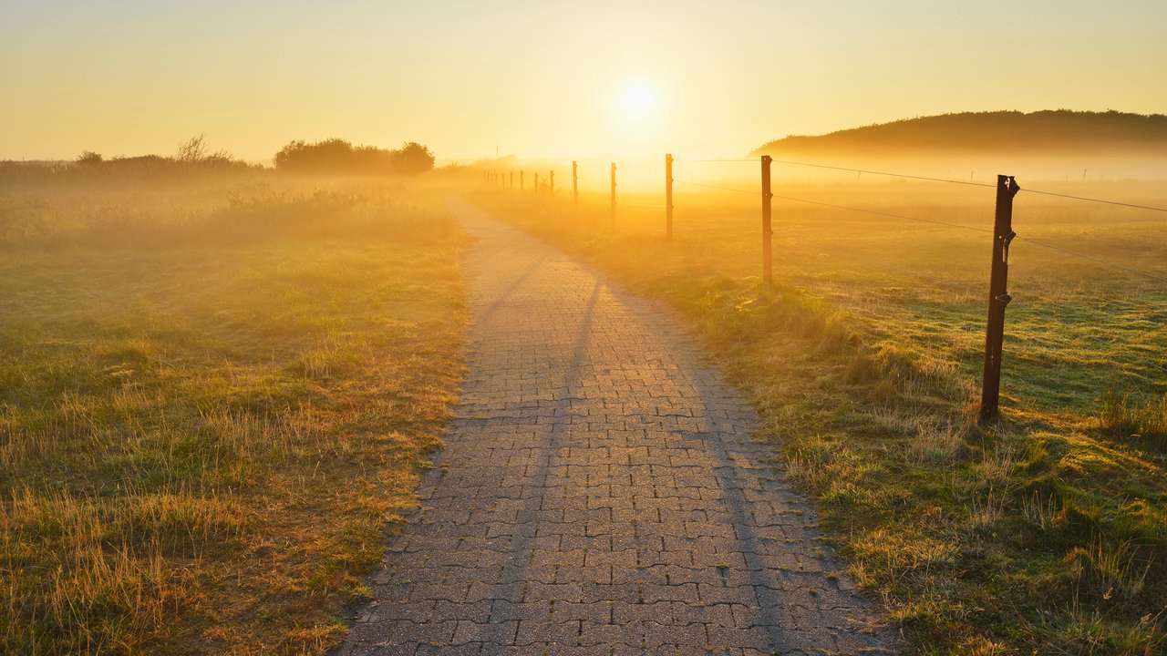 Fueling the energy transition Fueling the energy transition