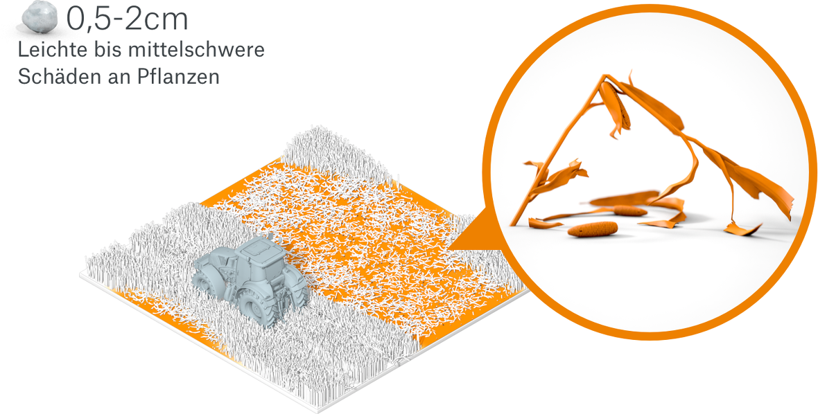 What needs to be done to prevent losses?