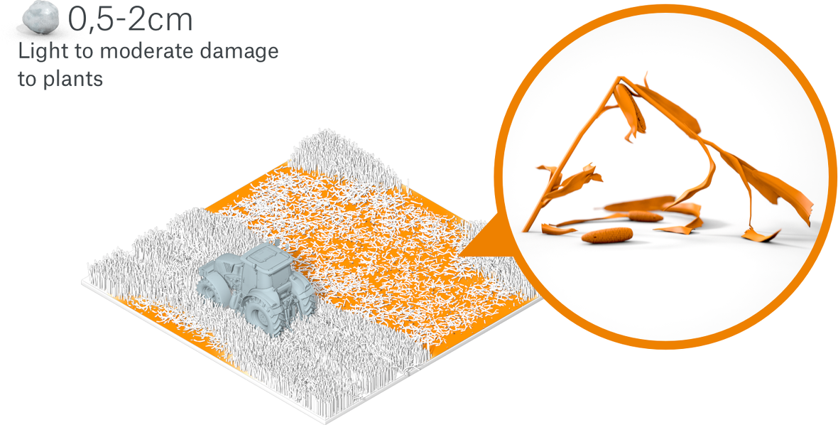 What needs to be done to prevent losses?