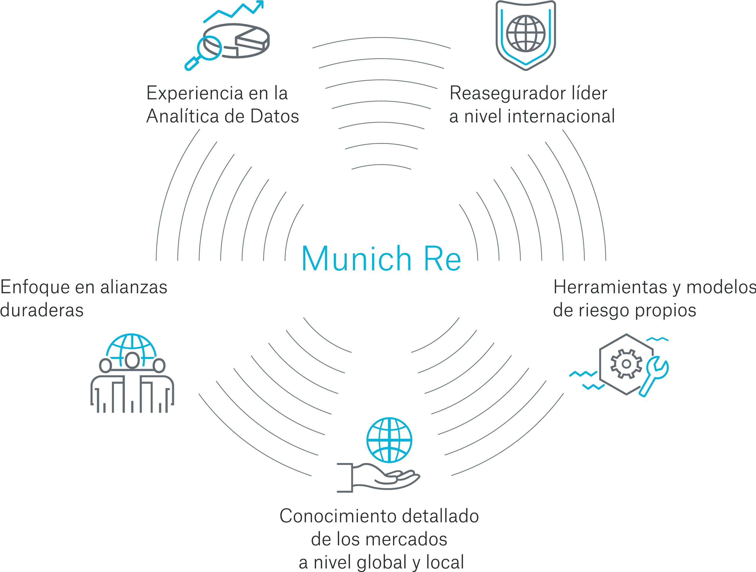 Gráfico que muestra la experiencia y los conocimientos de Munich Re en analítica de datos.
