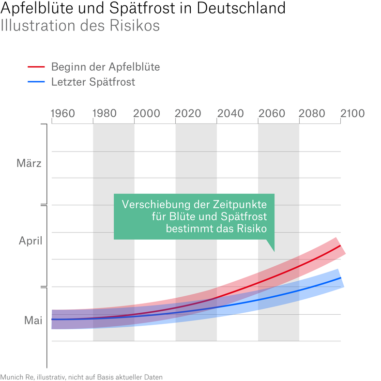 Climate change seemingly is bringing forward both the start of the vegetation period and the date of the last spring frost.