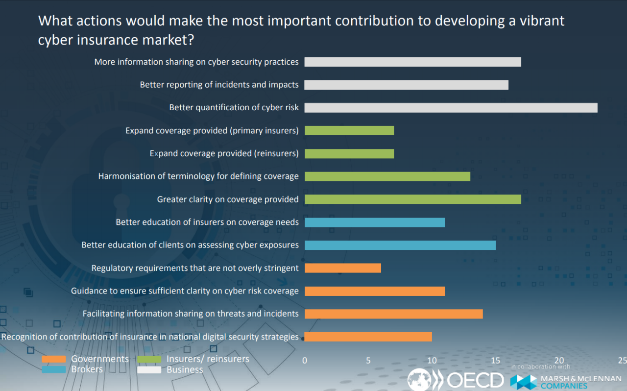 Datenquelle: OECD (2018), Freisetzung potentieller Cyber-Versicherungen