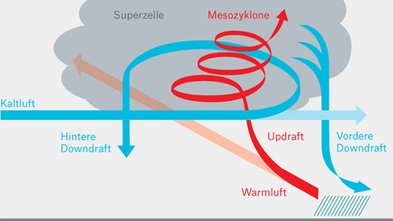 A tornado builds up within minutes and, in relation to its brief duration, is more destructive than a hurricane. Topics Online explains how a tornado forms. On Monday, 20 May, a one-and-a half kilometre wide tornado tore through the suburbs of Oklahoma City gouging a 30 km long by 2 km wide corridor of destruction out of the landscape.