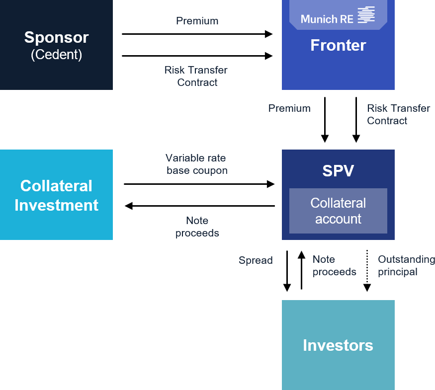 Typical structure with fronting (example) 