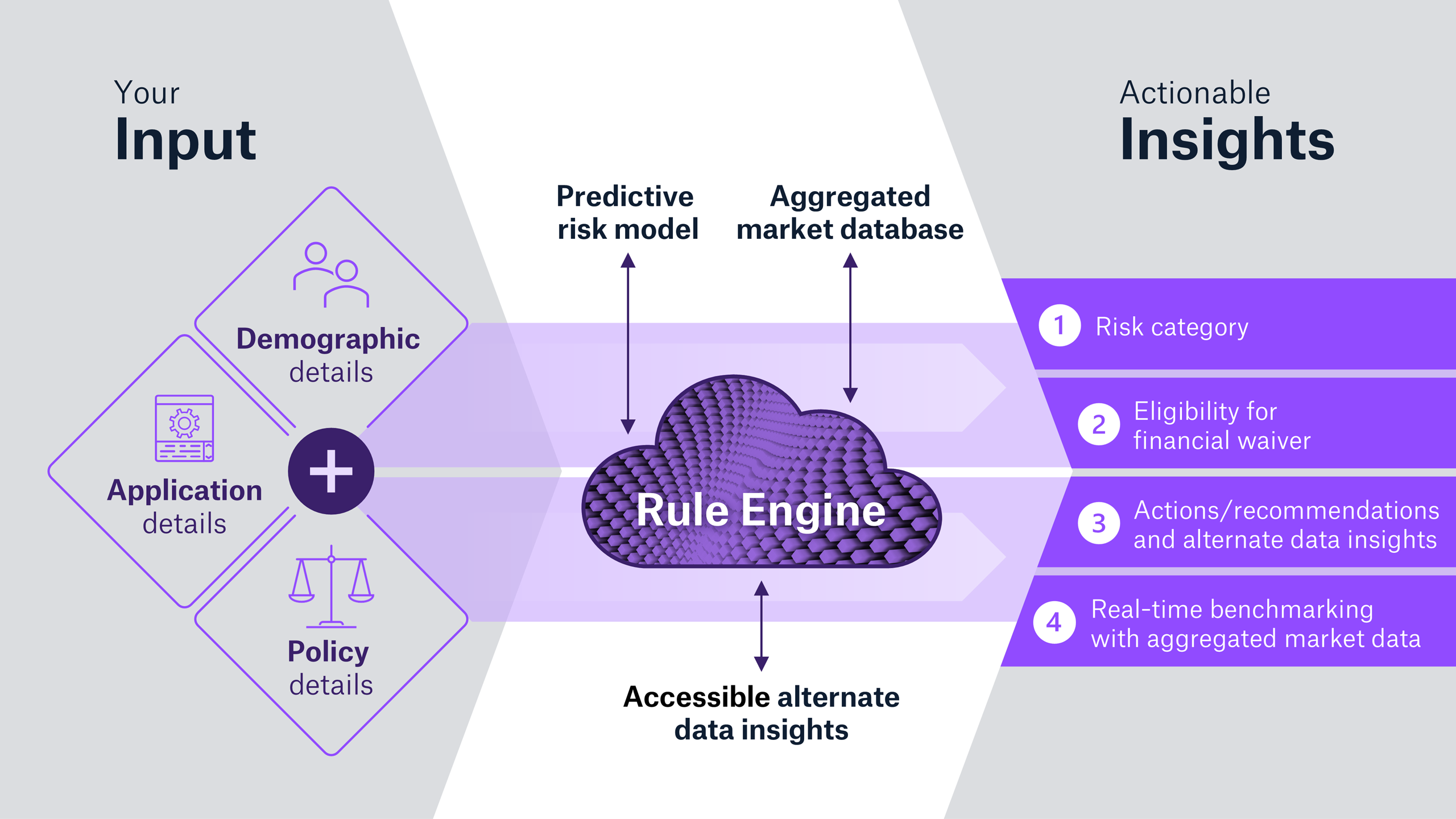 Dynamic Risk Calculator Visual
