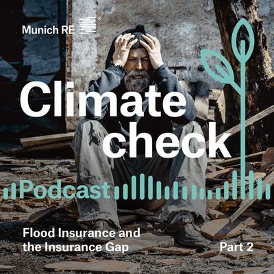 Flood insurance and the insurance gap