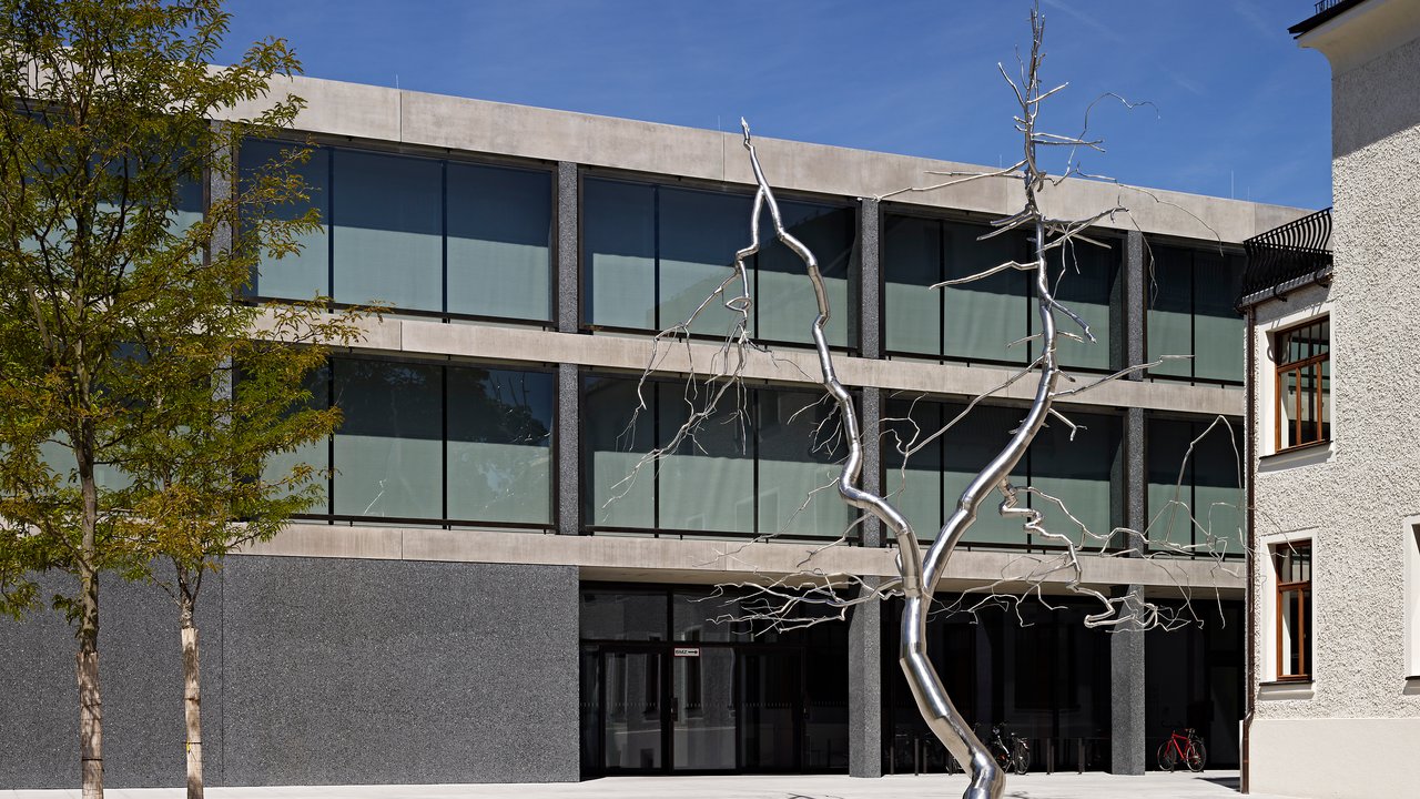 Roxy Paine, Discrepancy, 2011