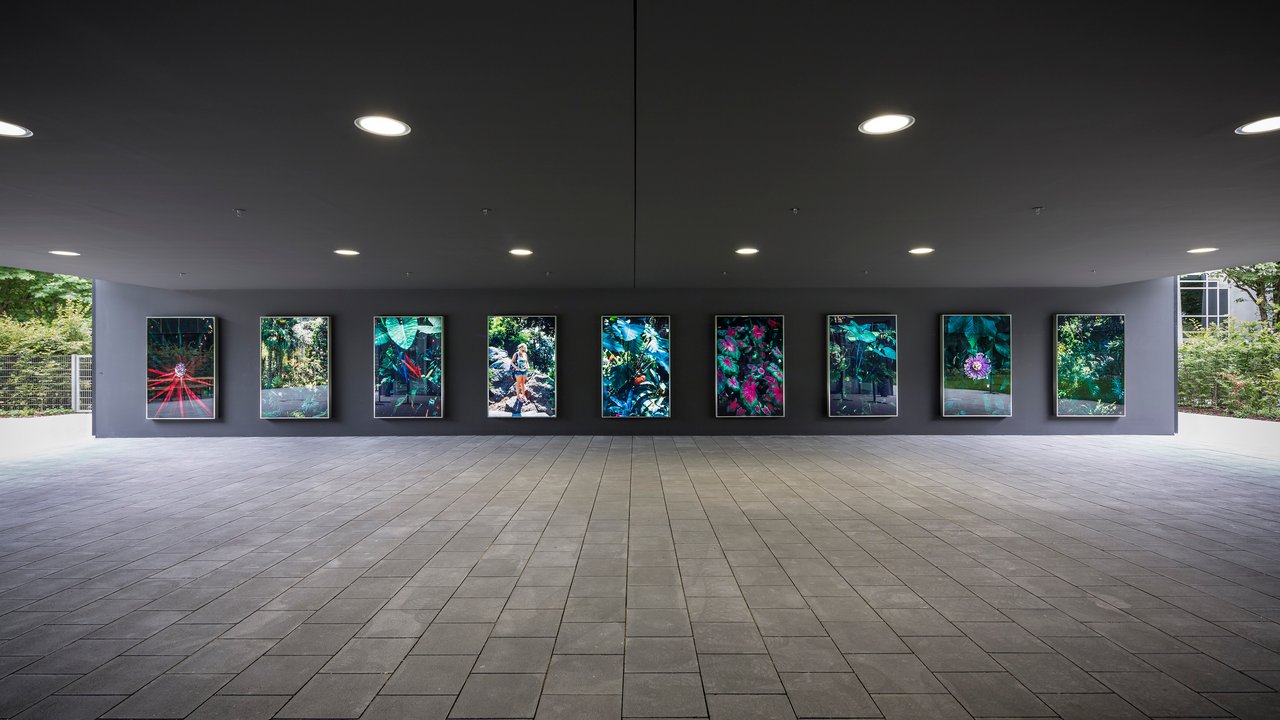 Frank Stürmer, ohne Titel (La Mortella), 2011/14