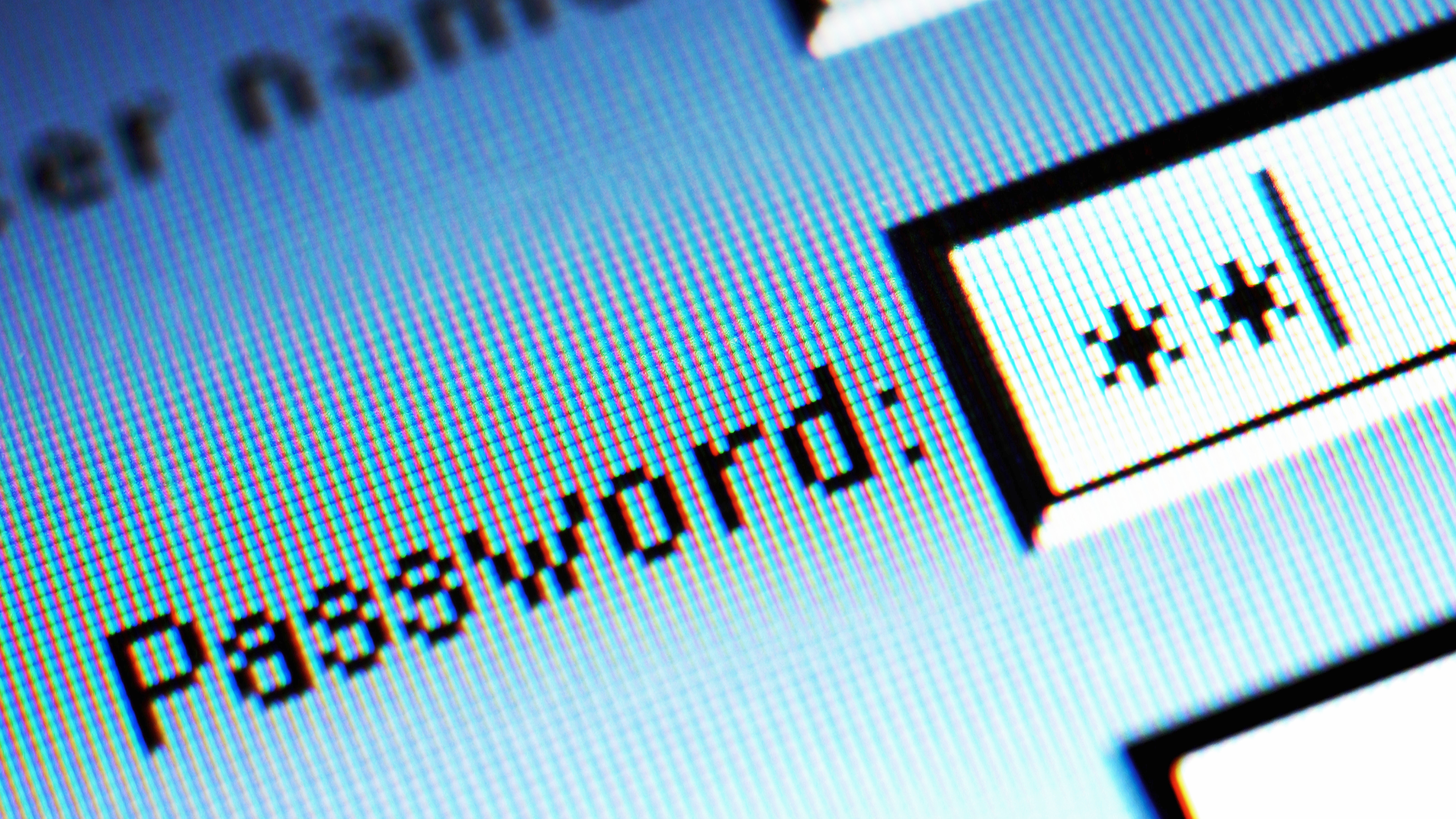 Password field on computer screen, detail