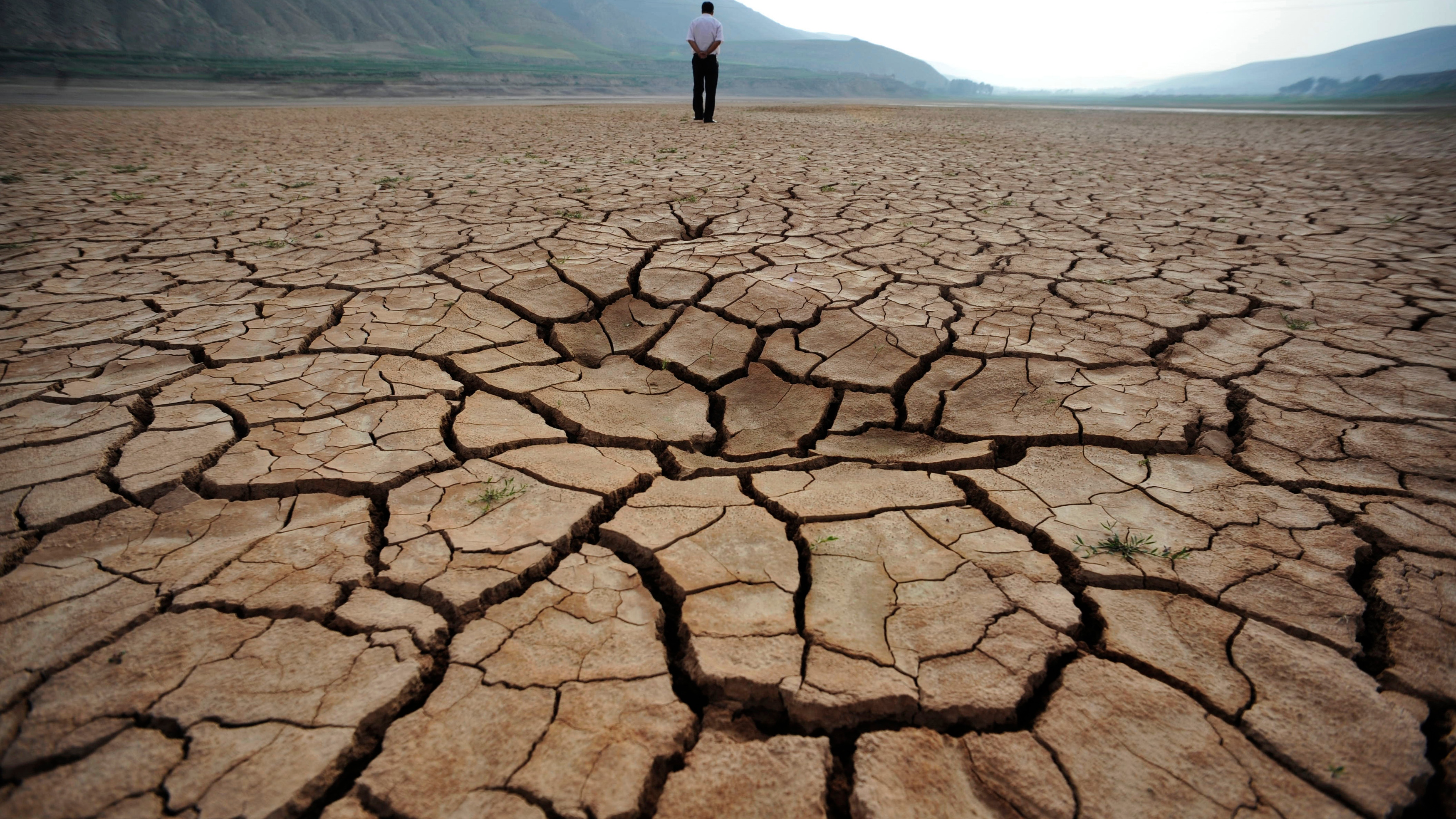Drought cracked field 