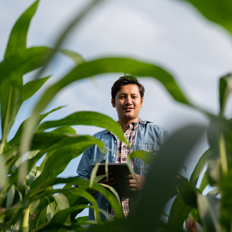 Growers Edge