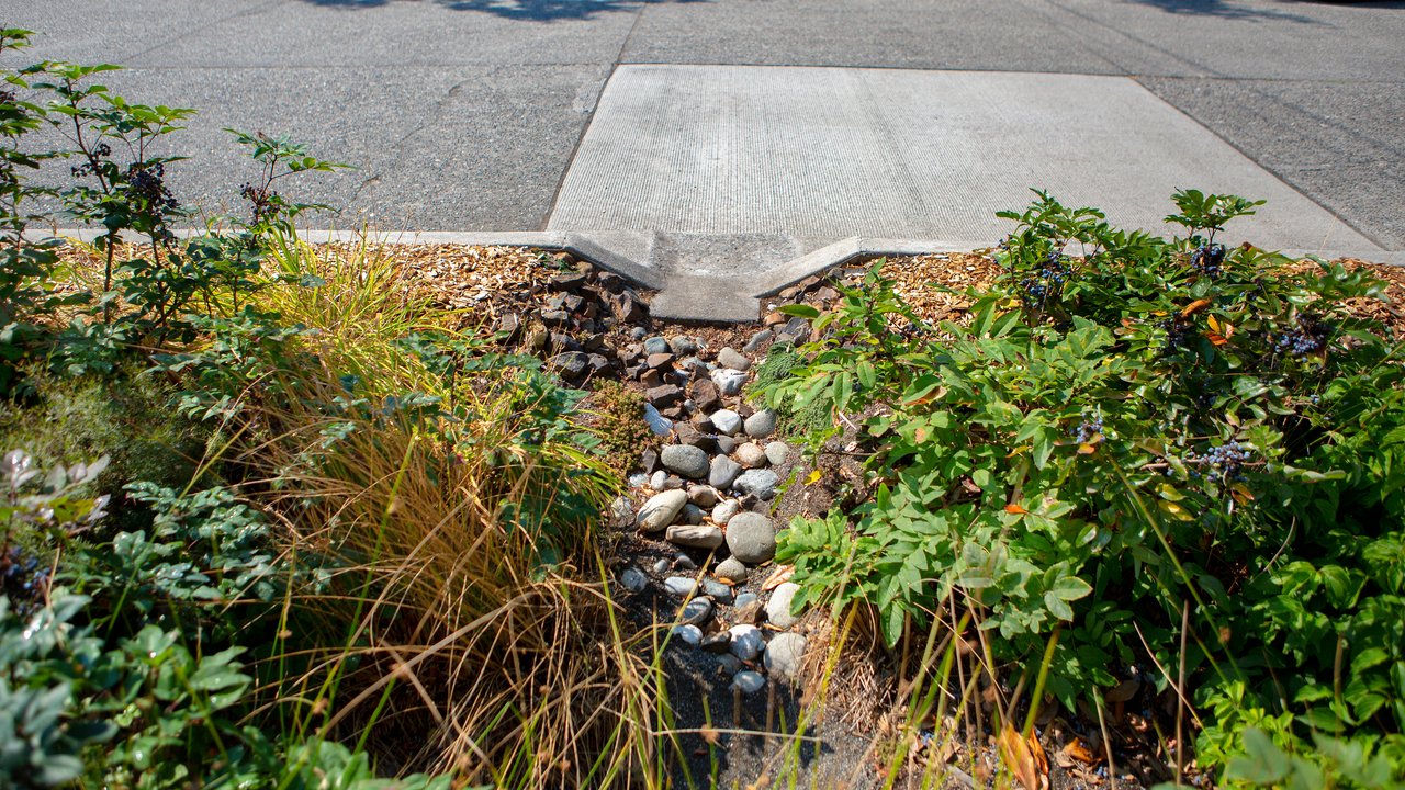 Maintain proper water runoff and grading