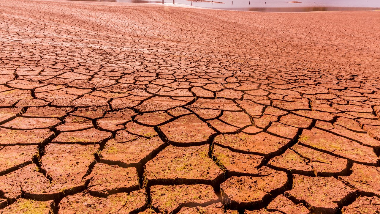 Climate risk: The importance of education, risk mitigation, and insurance