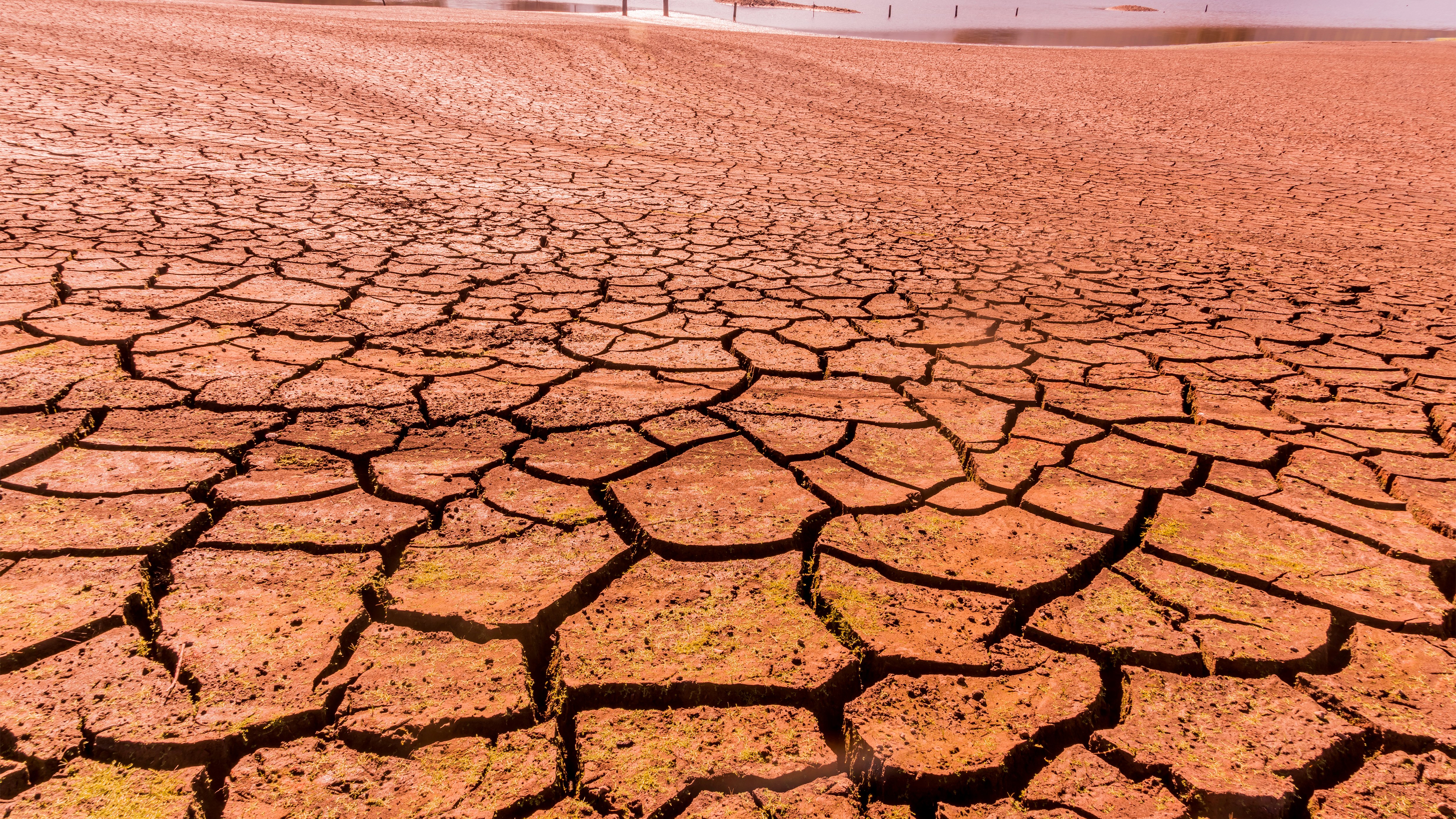 Climate risk: The importance of education, risk mitigation, and insurance