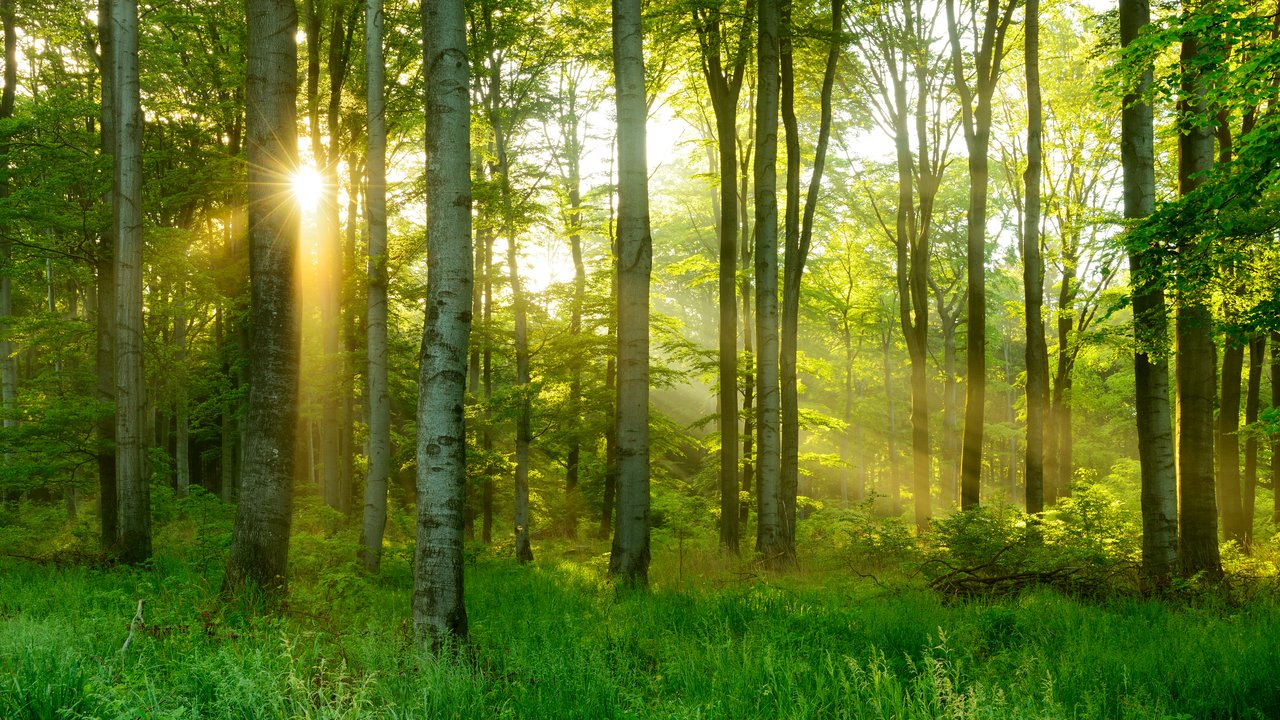 “Boards are now realising that biodiversity loss is financial risk” 