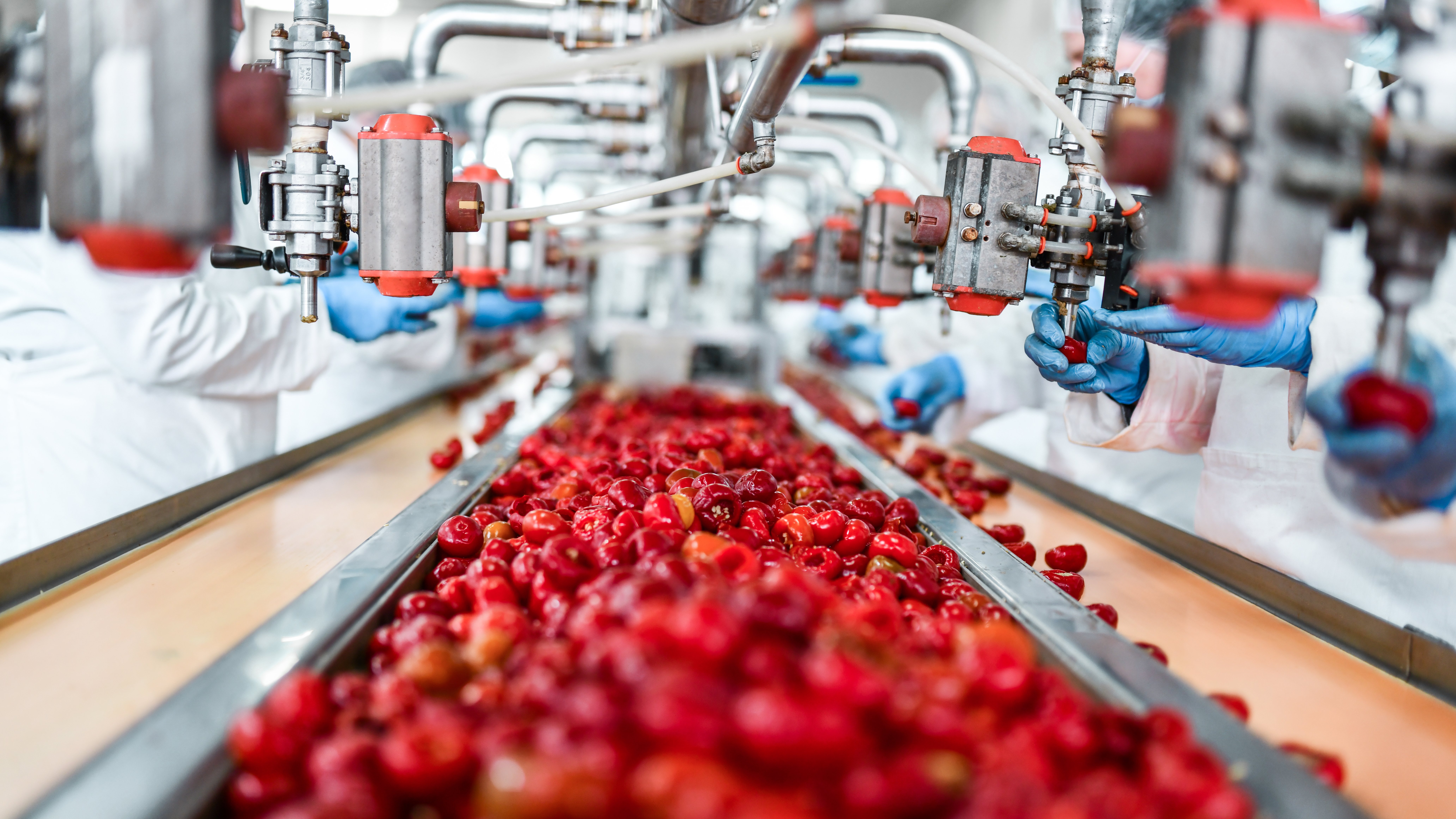 Property insurance Reinsurance company offering commercial property insurance