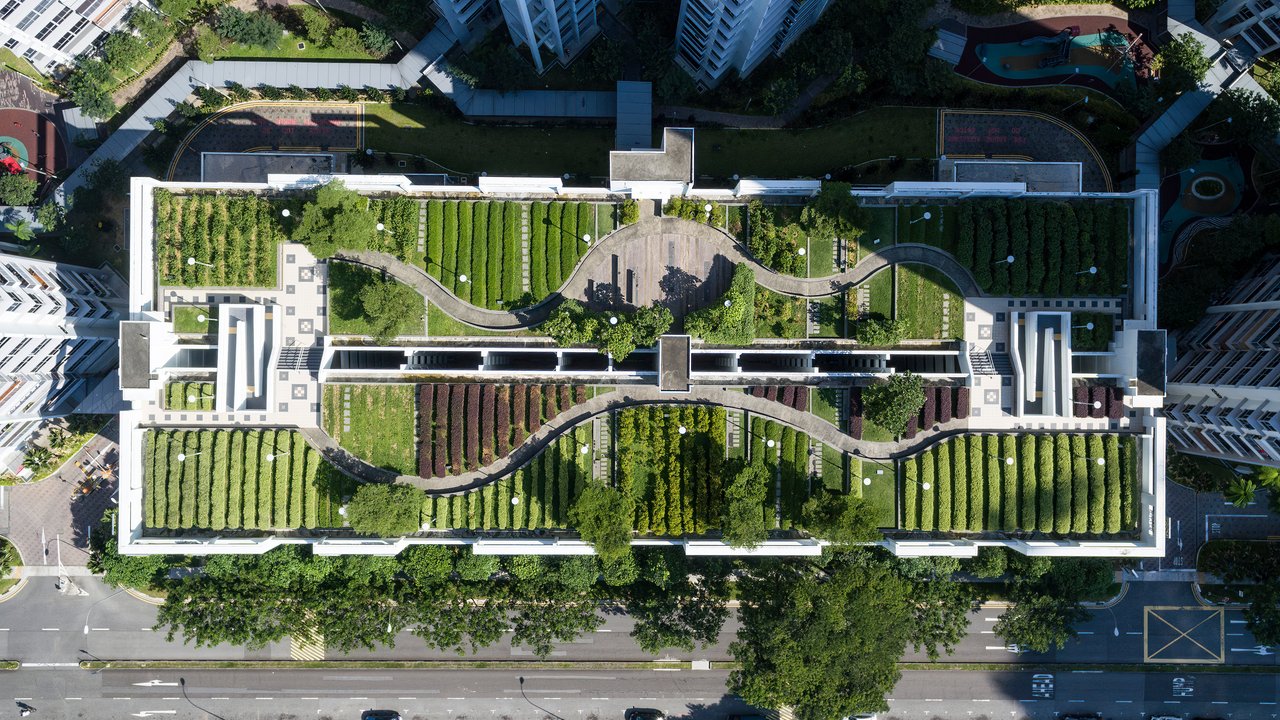 Aerial shot of rooftop garden