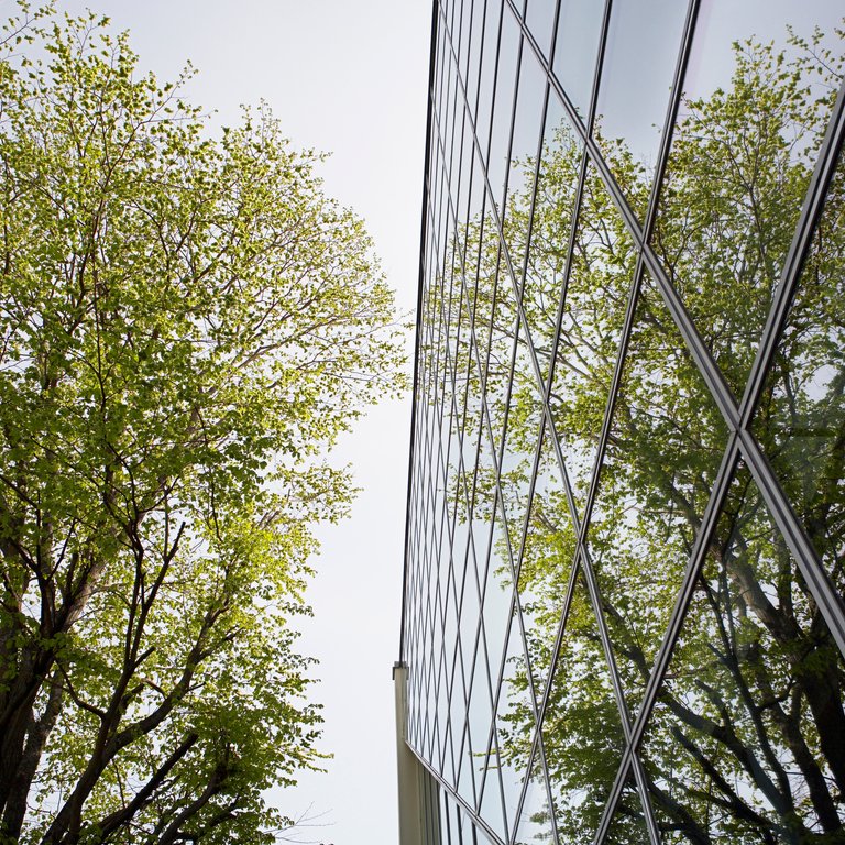 Reflections of trees on a glass building
