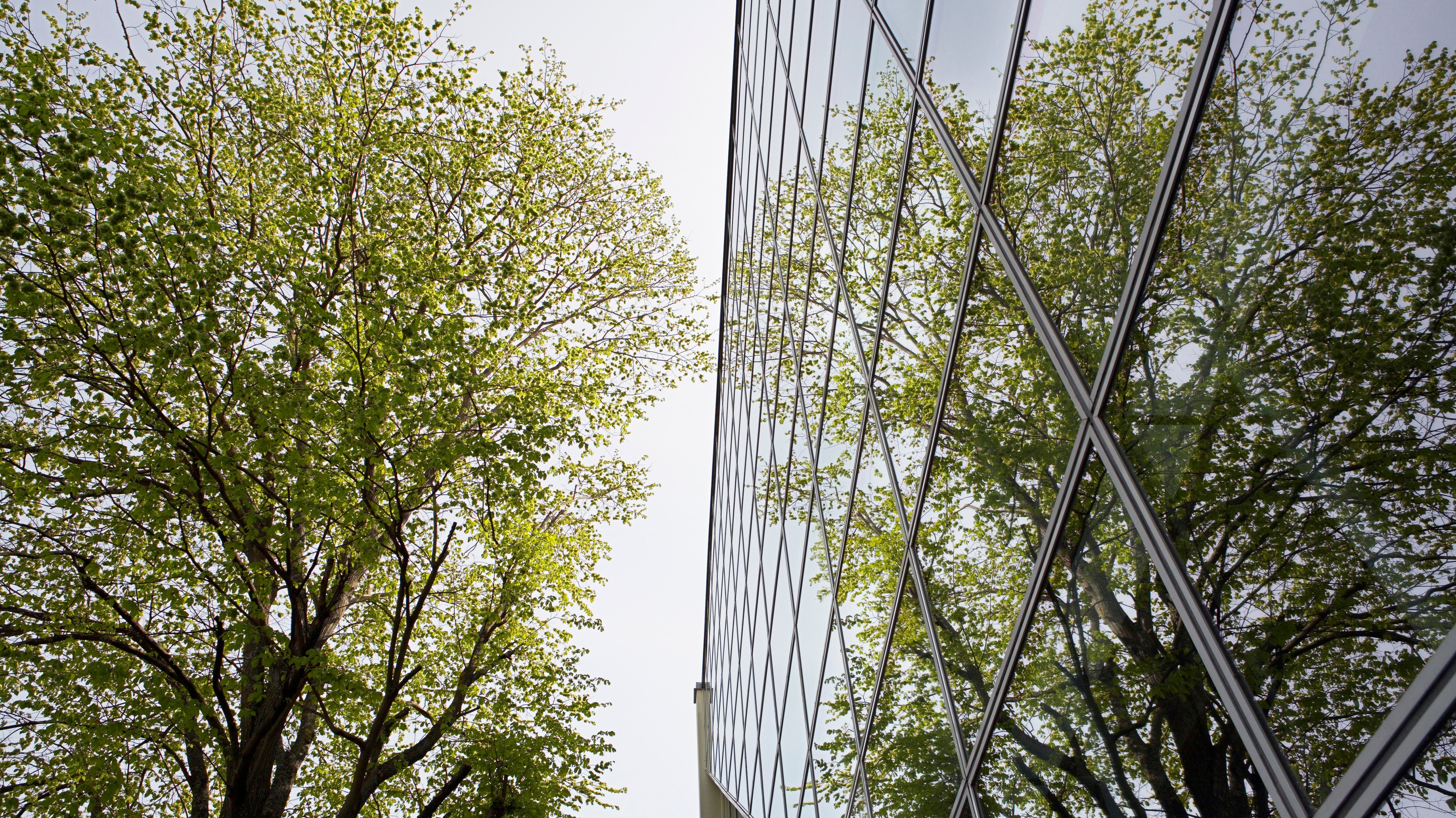 Klimaschutz braucht Marktwirtschaft Klimaschutz braucht Marktwirtschaft