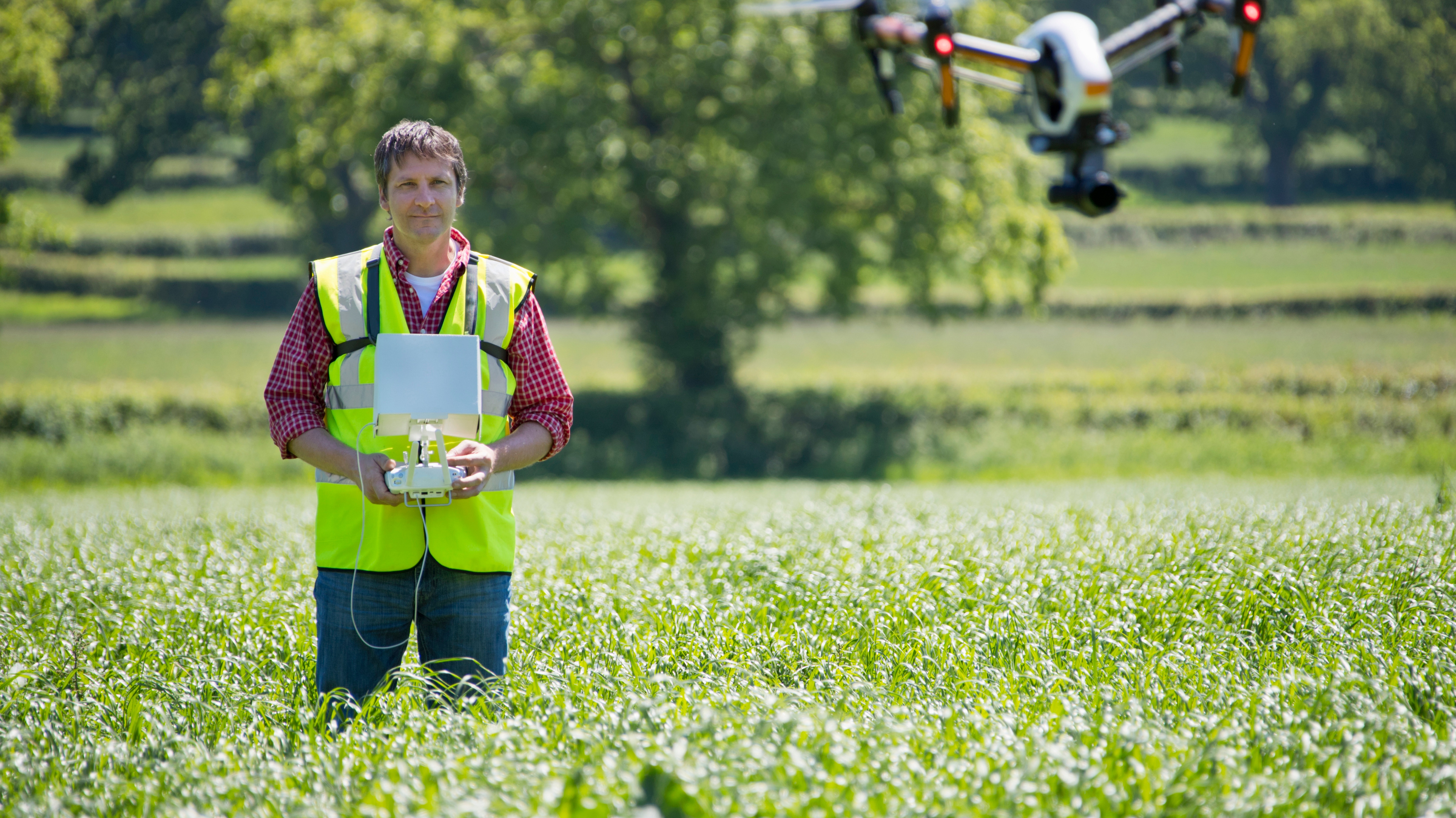 Farmer flying drone to survey crop in field