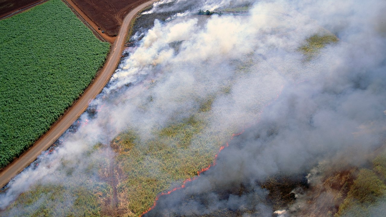 Bushfires in Australia