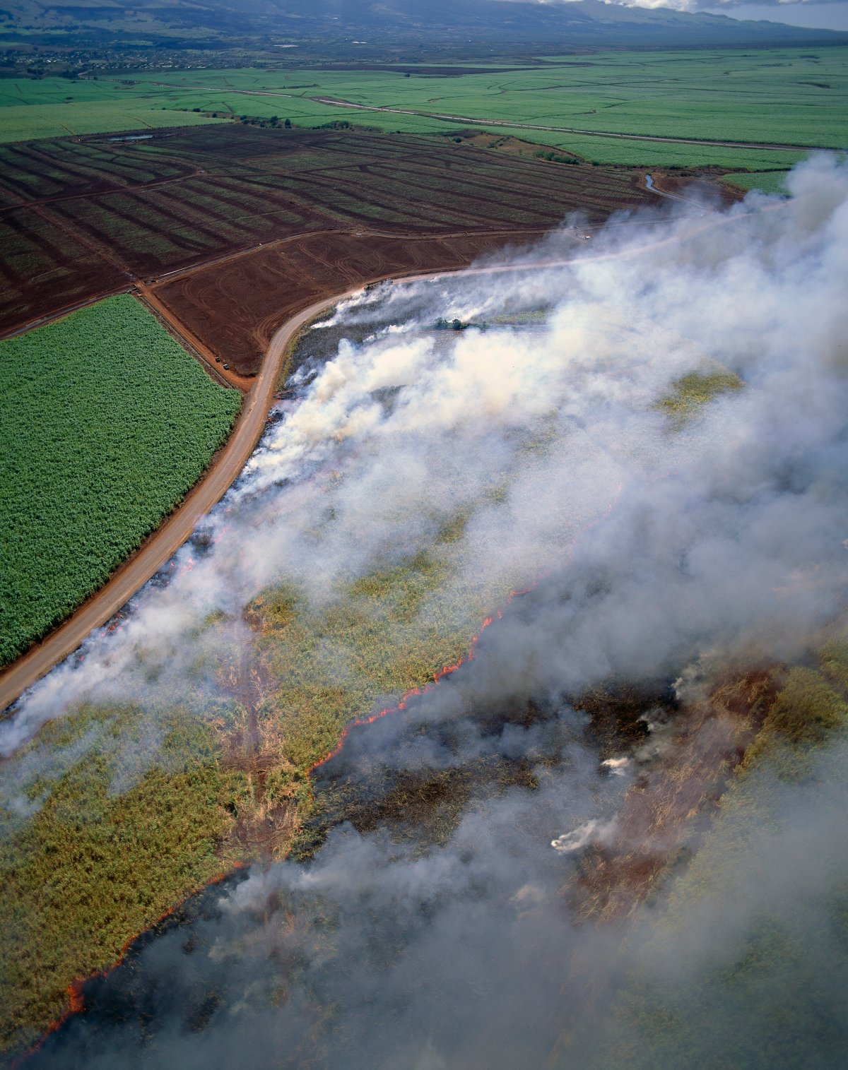 Bushfires in Australia | Munich Re