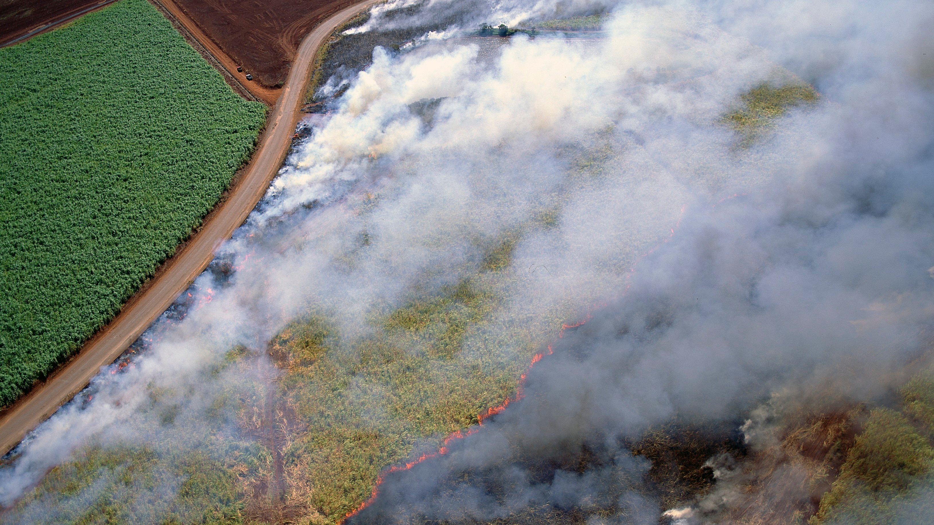 Bushfires in Australia