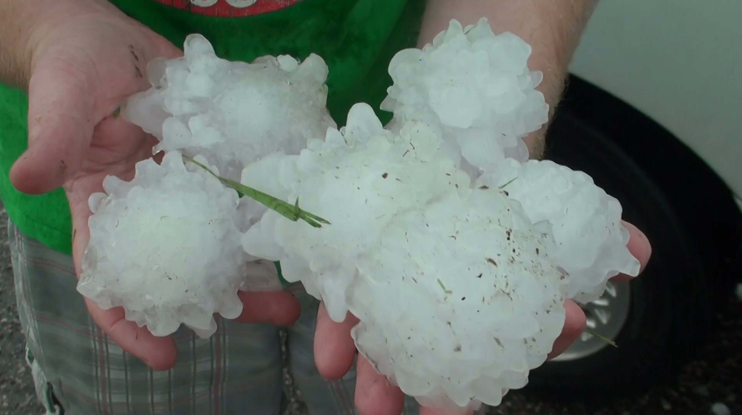 A person holds several large hailstones in their hands, with some grass and dirt visible on the ice.
