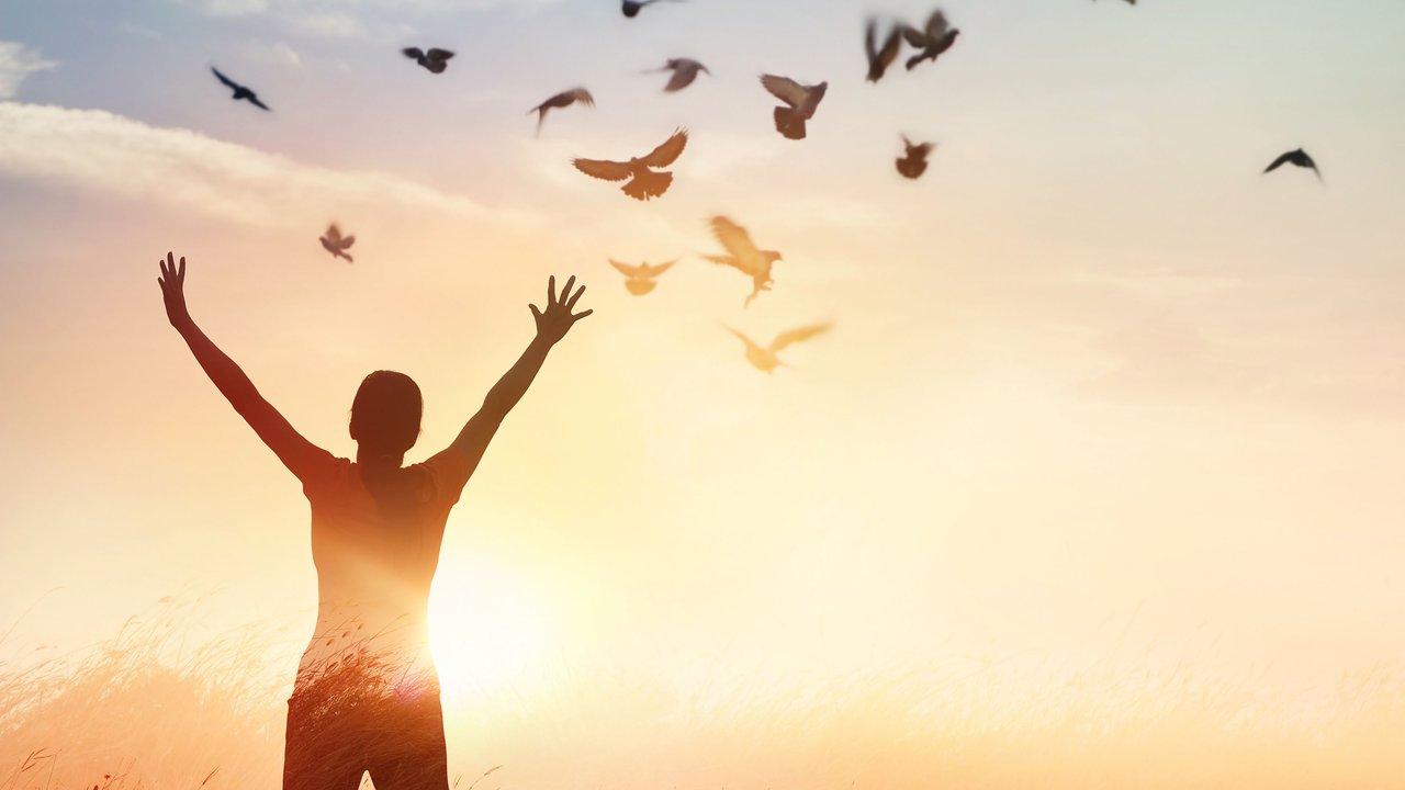 Wellness day, October 2023 Wellness day, October 2023