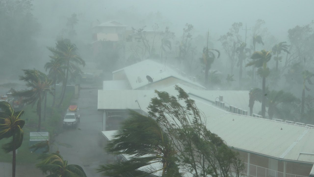A stormy scene with strong winds, palm trees bending, and buildings shrouded in mist and rain.