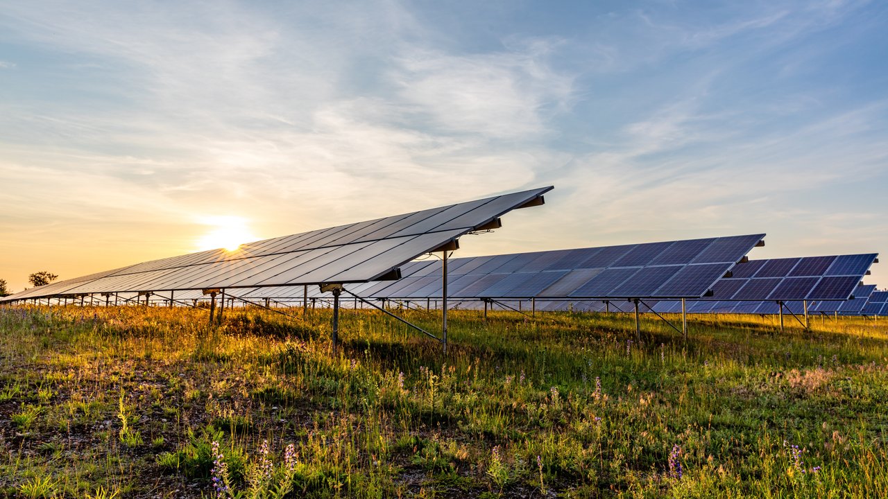Solar panels in a field at sunset, surrounded by grass and wildflowers under a clear sky.