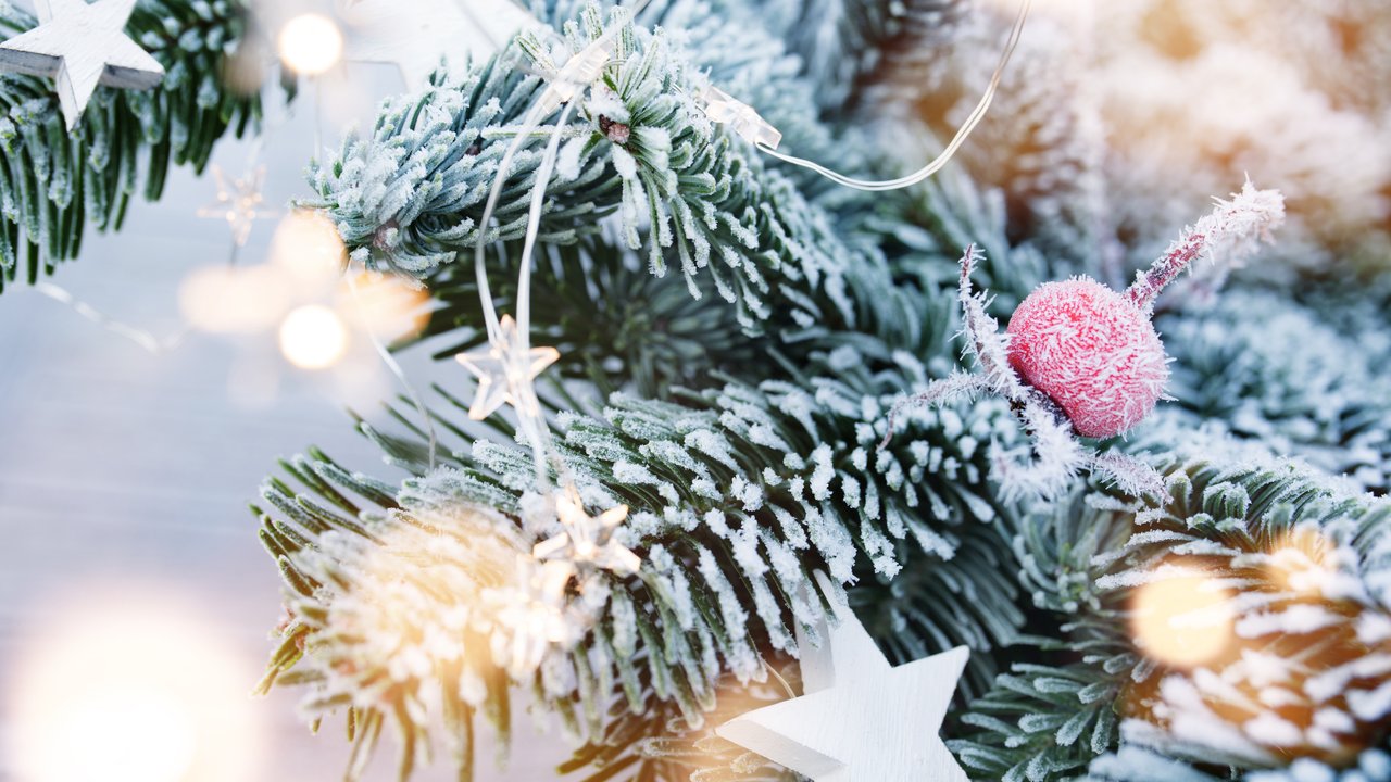 Weihnachtsgrüße Weihnachtsgrüße