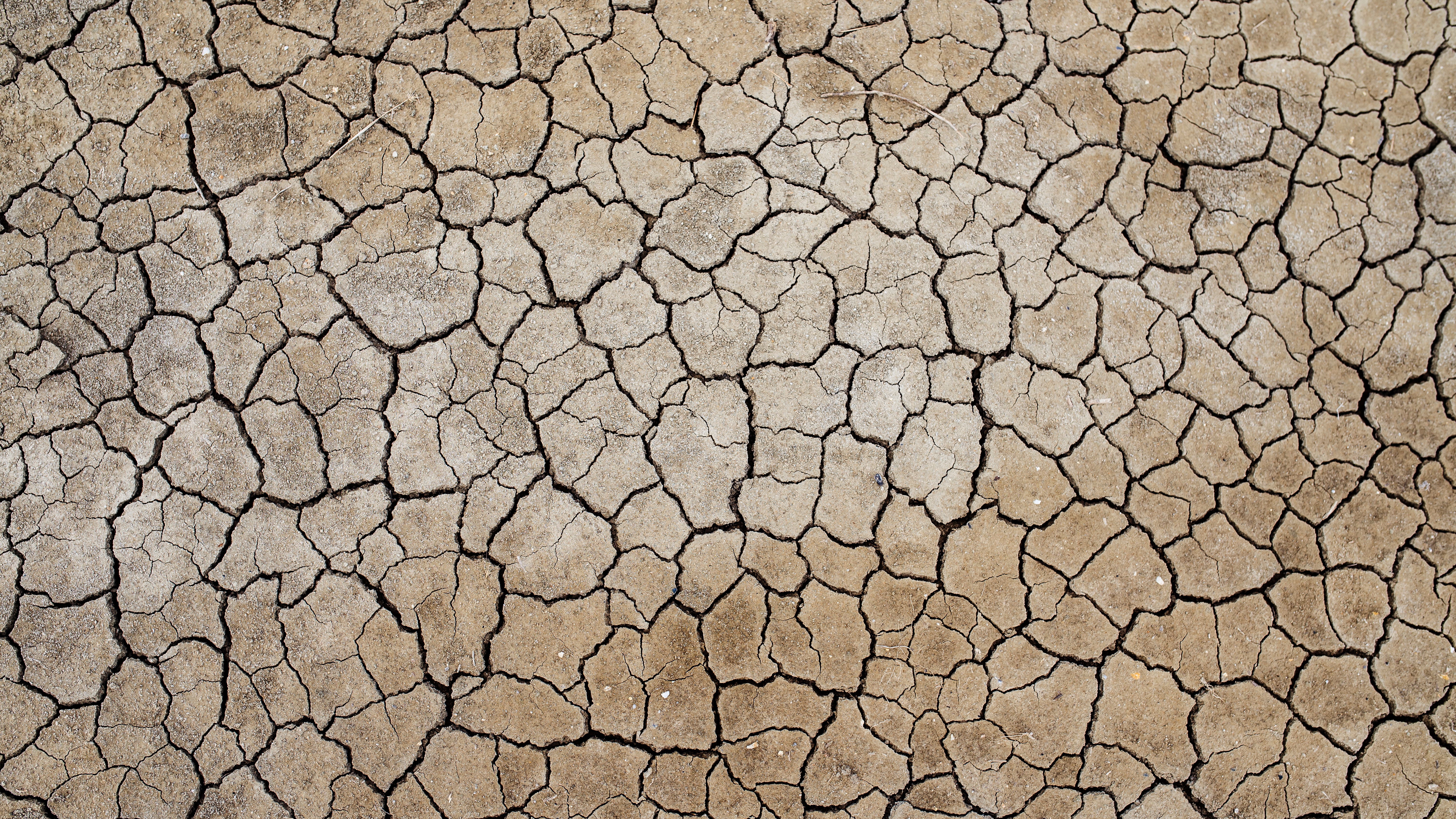 dry ground climate change