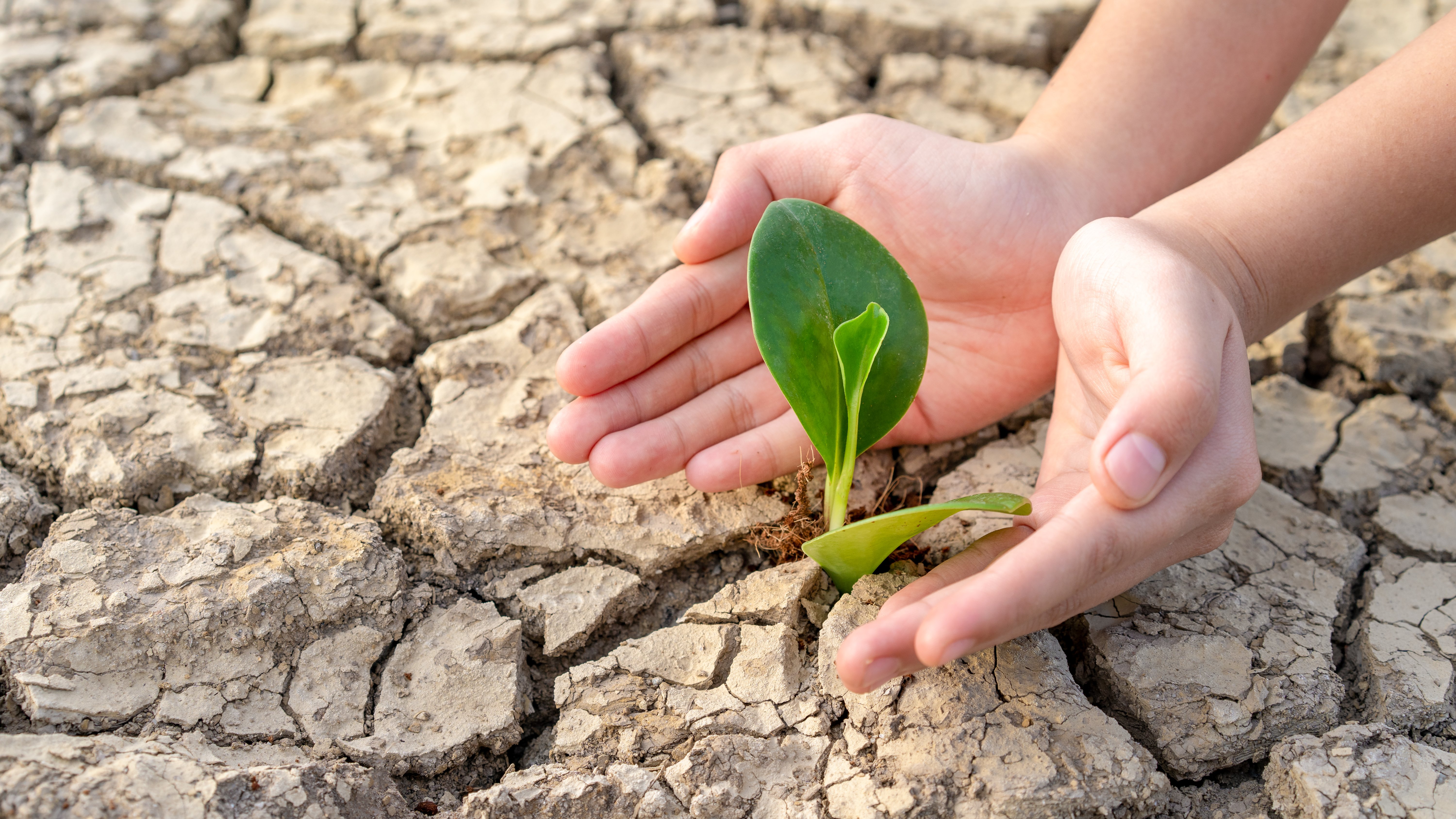 Climate Change Risks