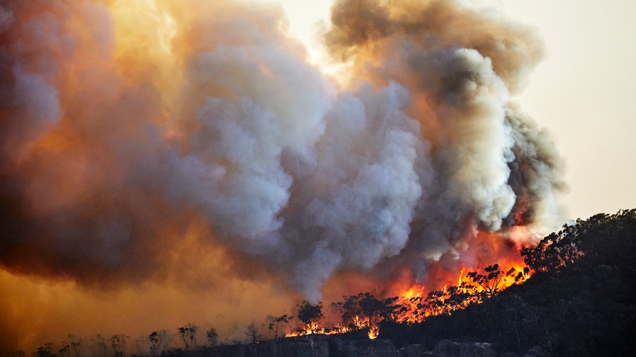 Rekordschäden durch die „Black Summer“ Buschbrände in Australien Rekordschäden durch die „Black Summer“ Buschbrände in Australien