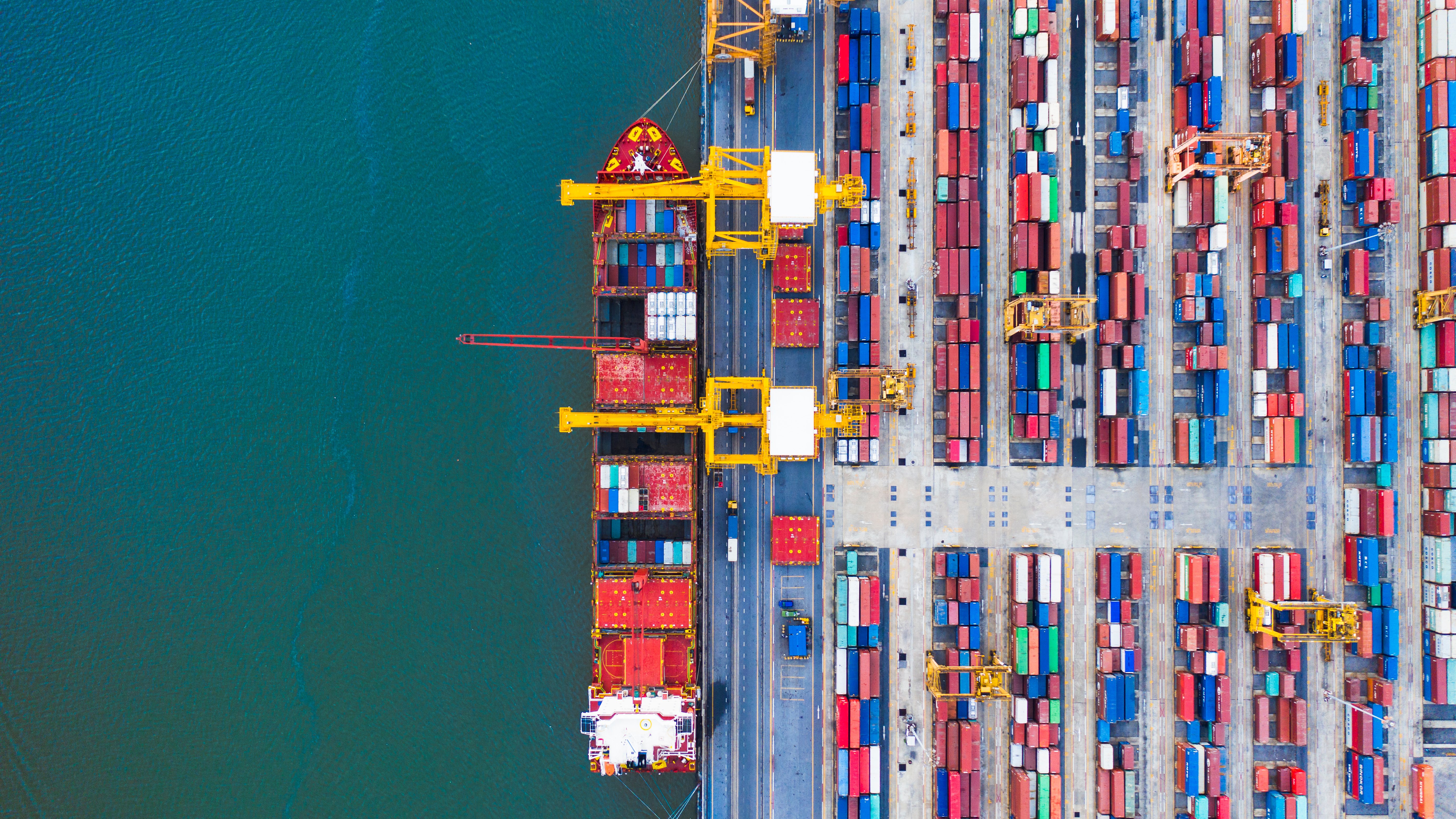 Marine Market Survey 2024