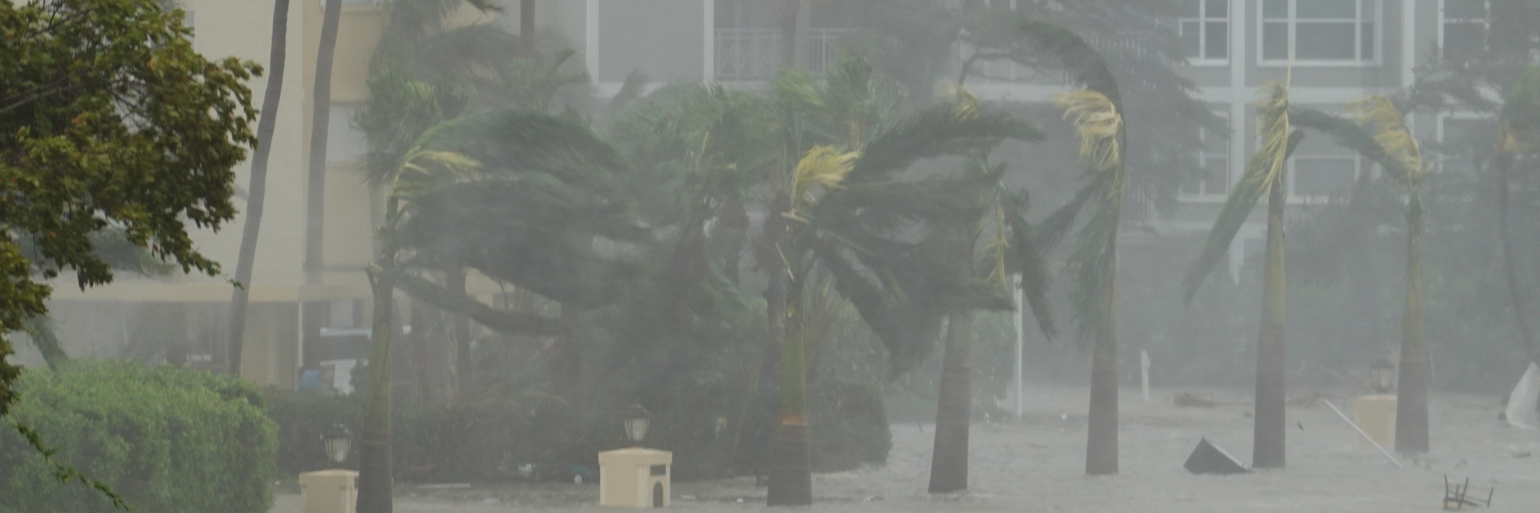Hurrikan-Saison 2022: Weniger Stürme als erwartet, aber extreme Schäden