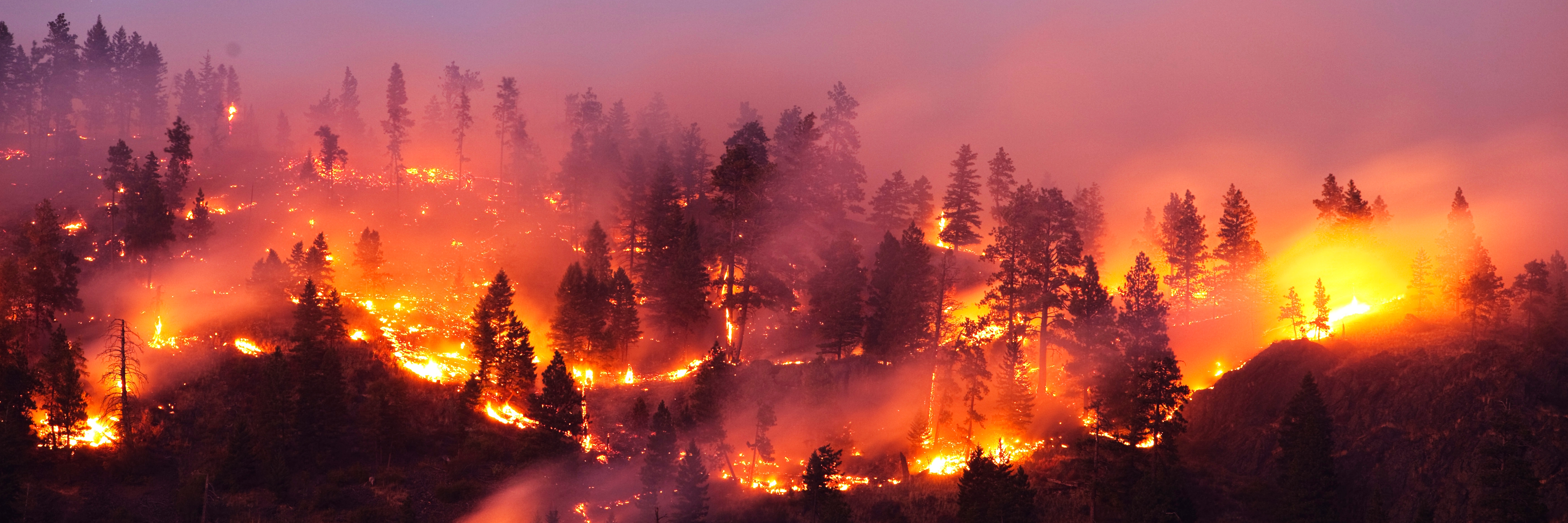 Bushfire & wildfire risks | Munich Re