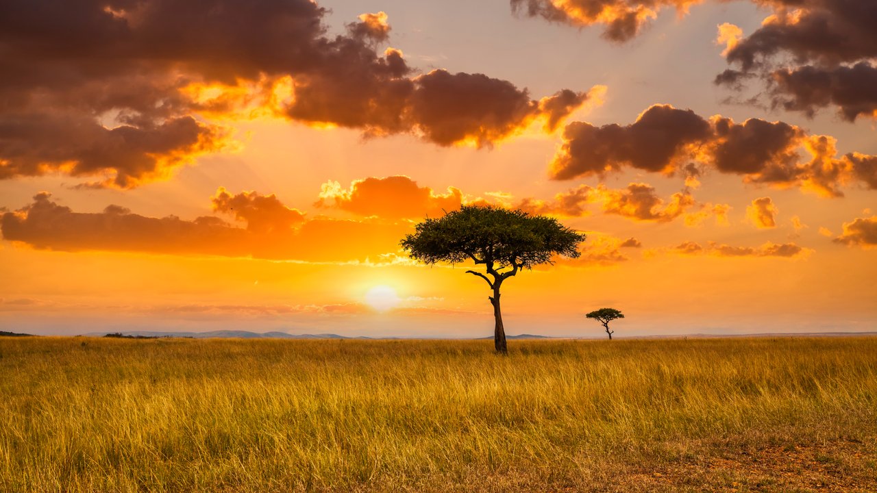 Climate Check podcast