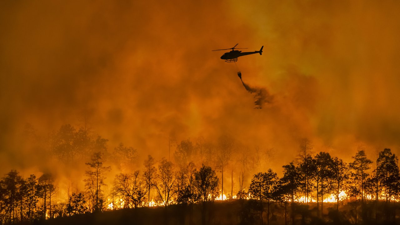 A helicopter drops water on a forest fire, with flames and smoke visible among the trees.