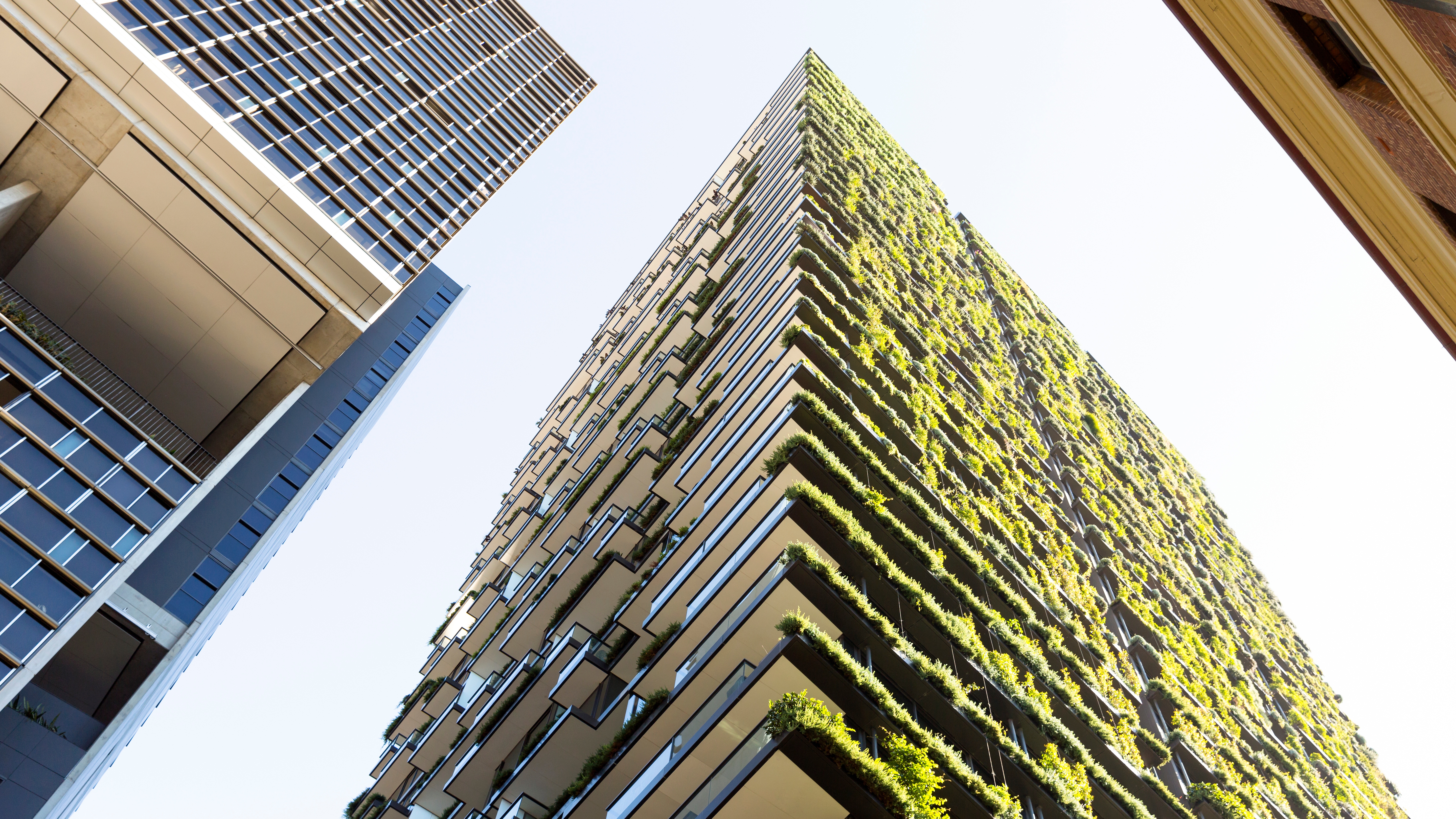 Low angle view of vertical garden-BioWall or living wall is a wall covered with living plants on high rise residential building, Sydney Australia, full frame horizontal composition
