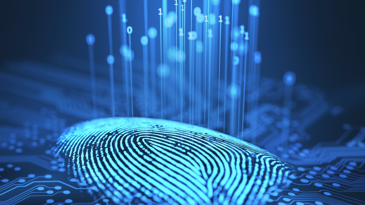 Fingerprint and printed circuit board, illustration.