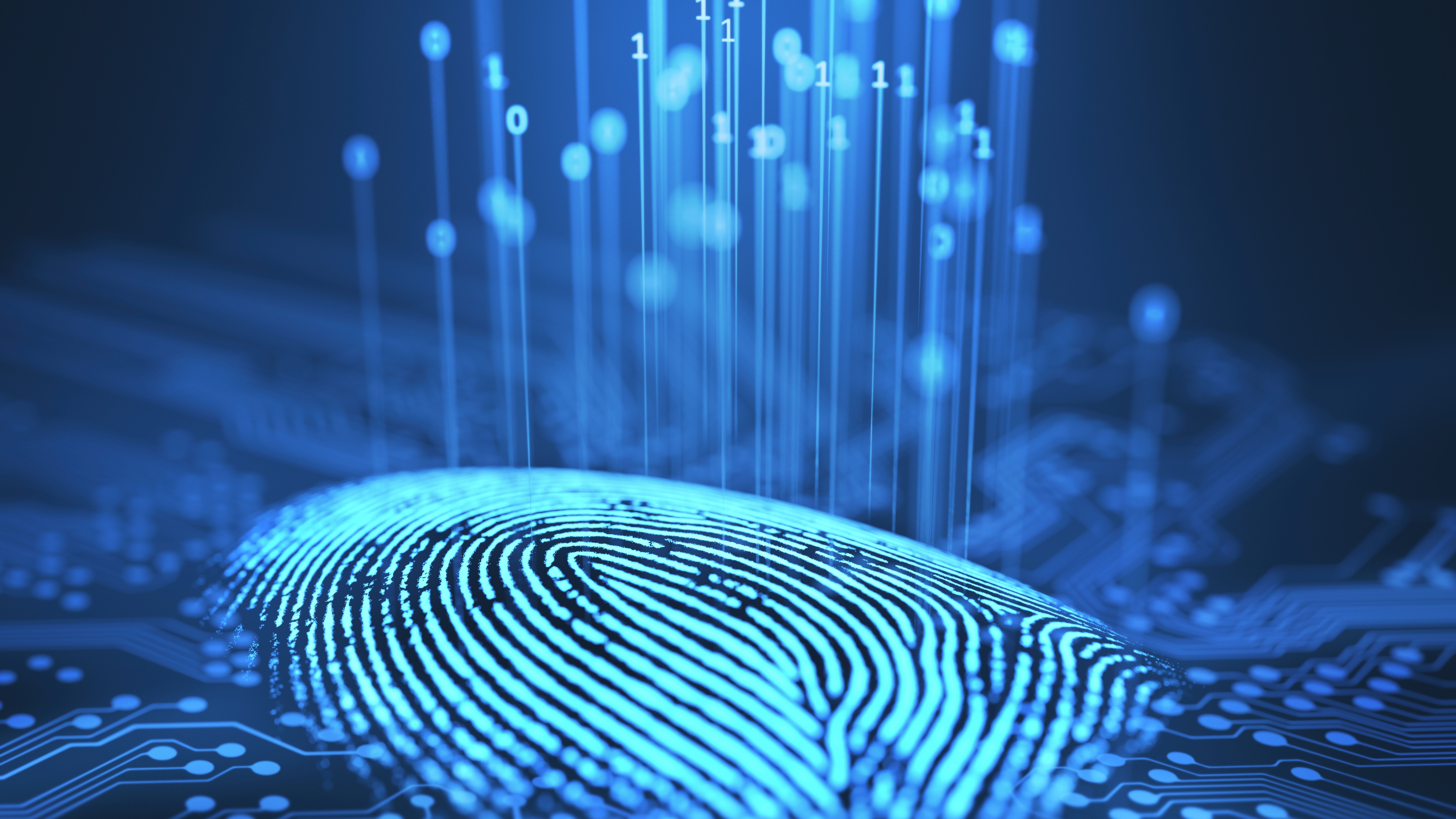 Fingerprint and printed circuit board